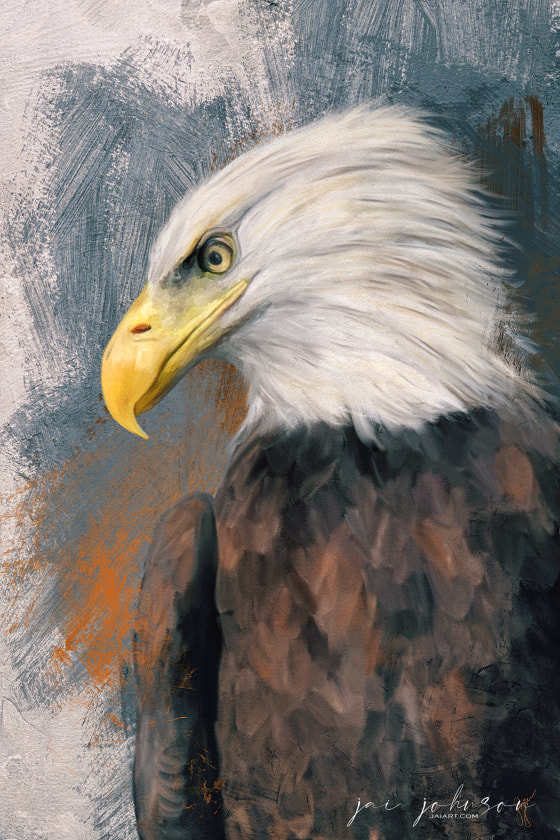 Pickwick Bald Eagle Portrait
